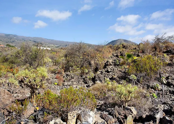 Minipiso Tejina De Isora Διαμέρισμα *
